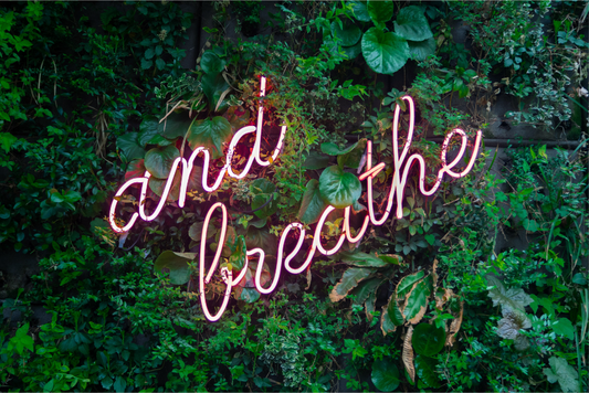 Conecta con la energía de la primavera a través del Breathwork o el Yoga